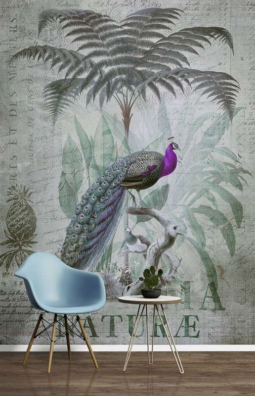 Pfau, Vogel, Pflanze, tropisch, Wandbild