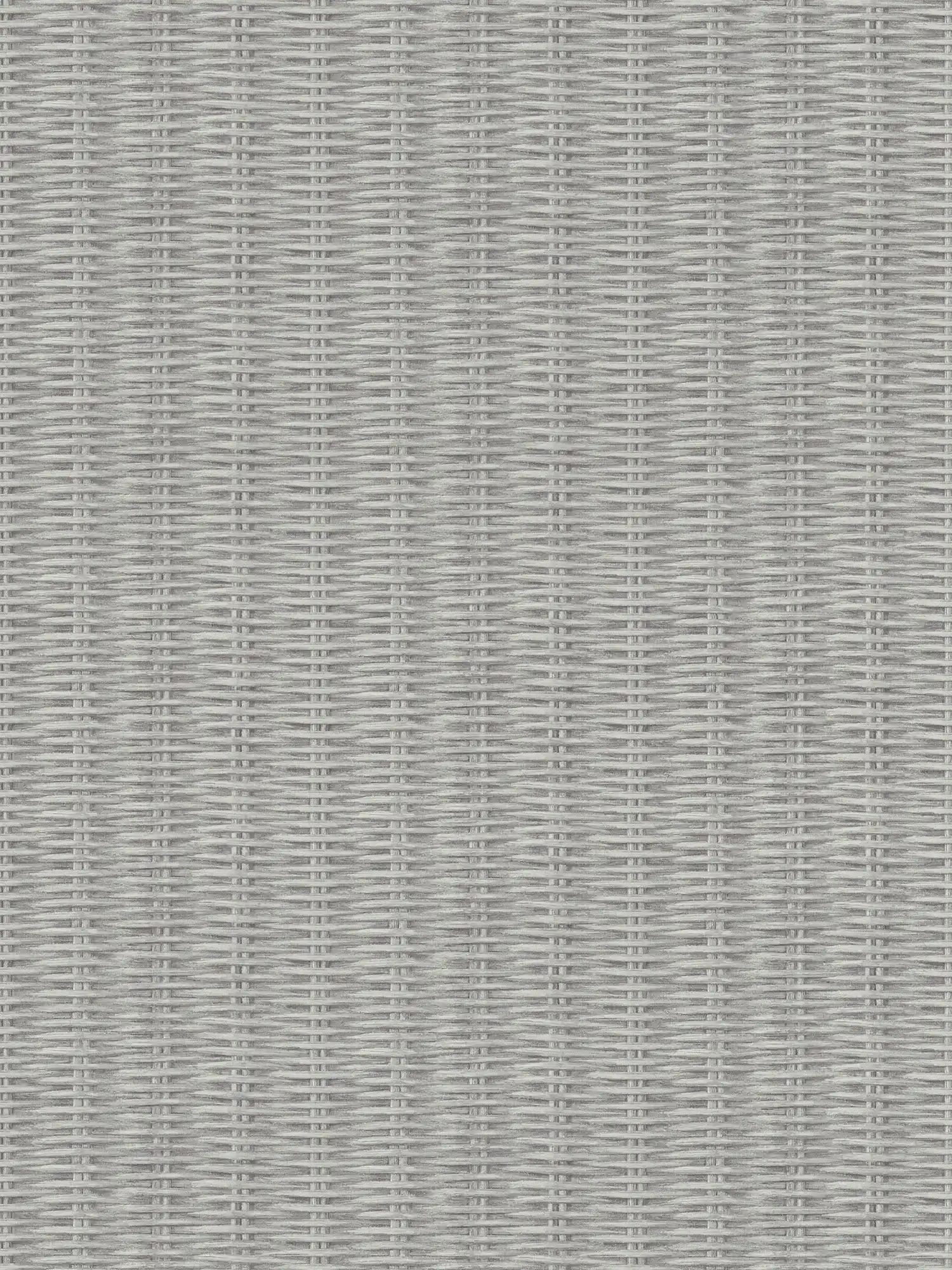         Non-woven wallpaper basket weave, natural look - grey
    