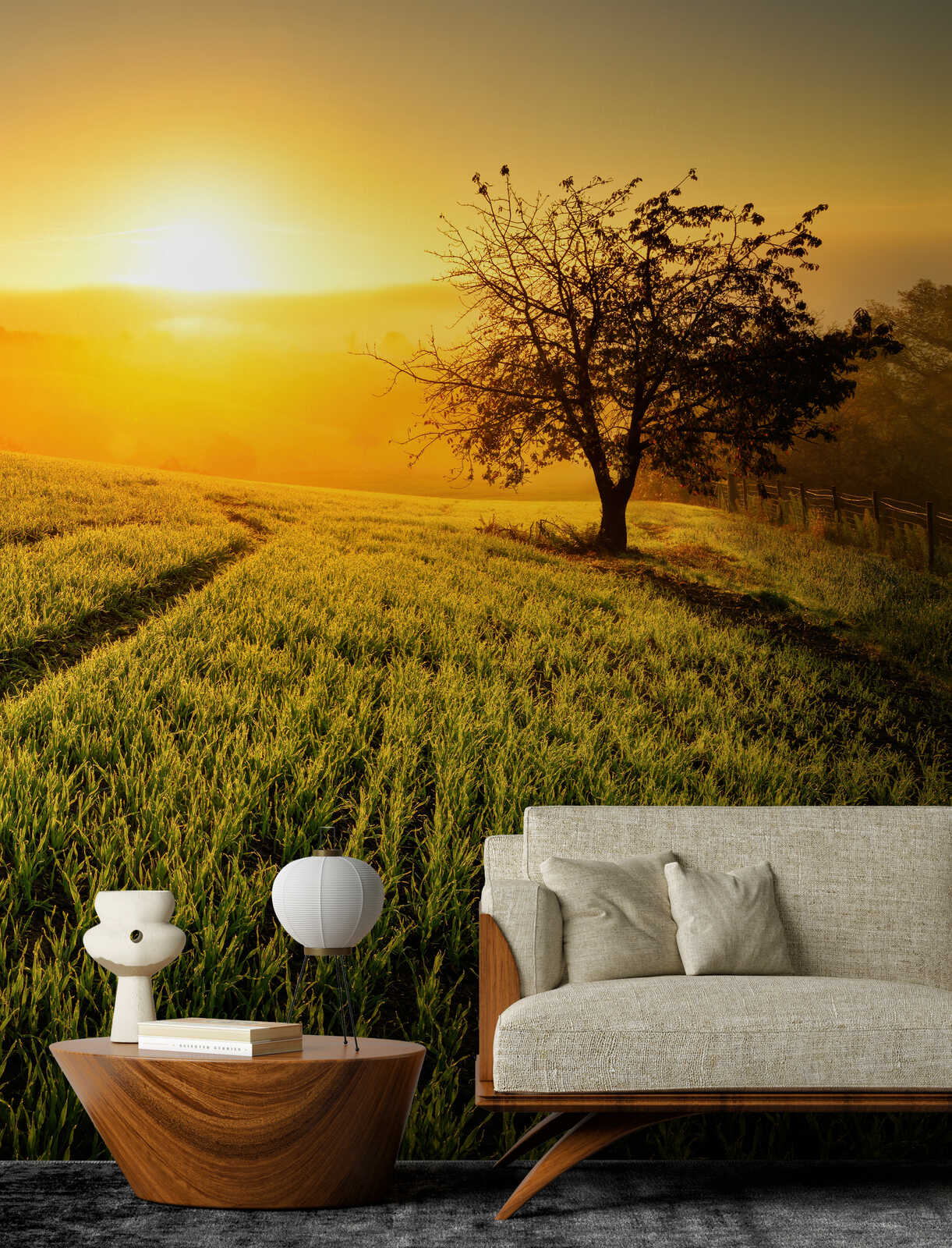 Landschaft, Sonnenuntergang, Baum, Feld, Sofa