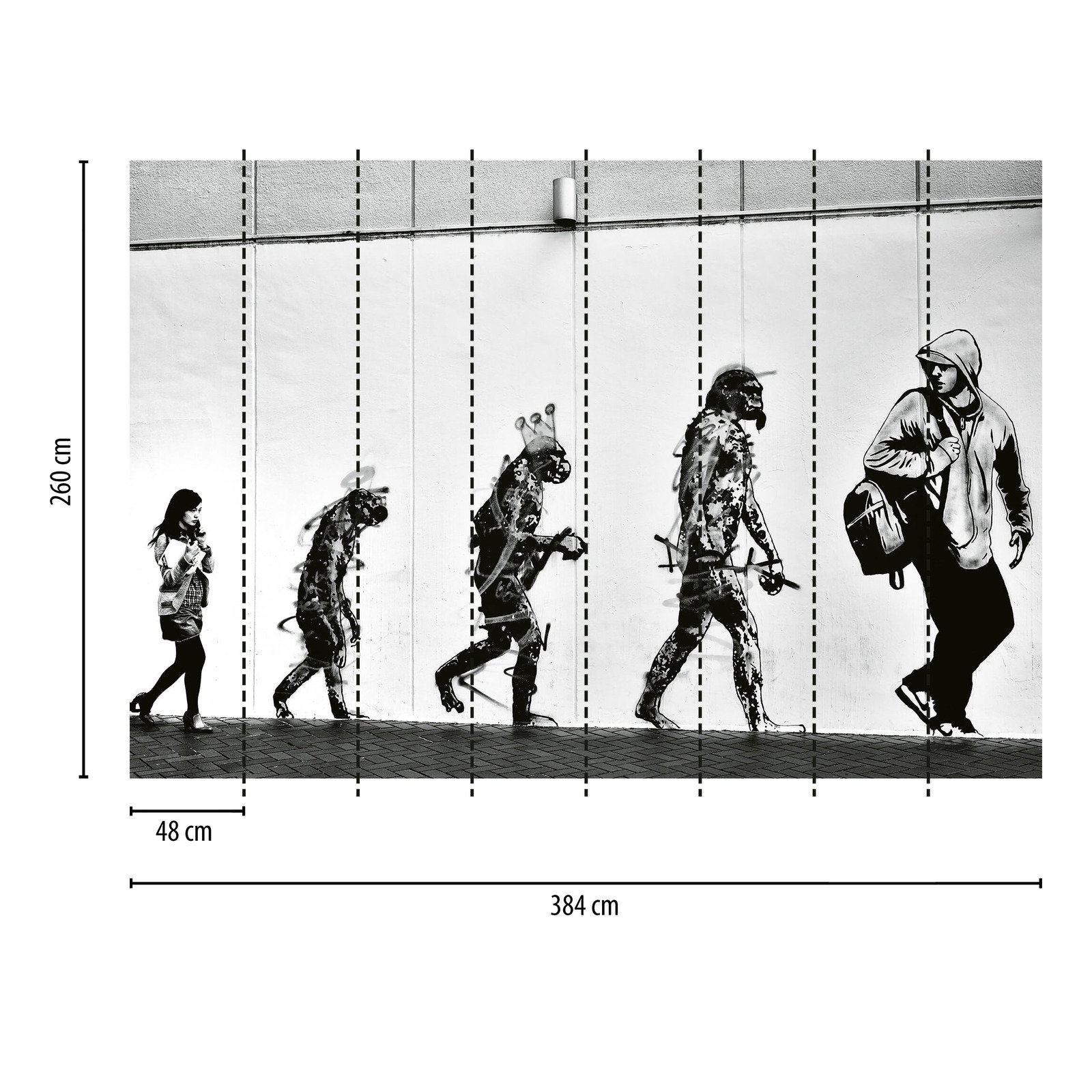             Fototapete modern Street Art Evolution – Schwarz, Weiß
        