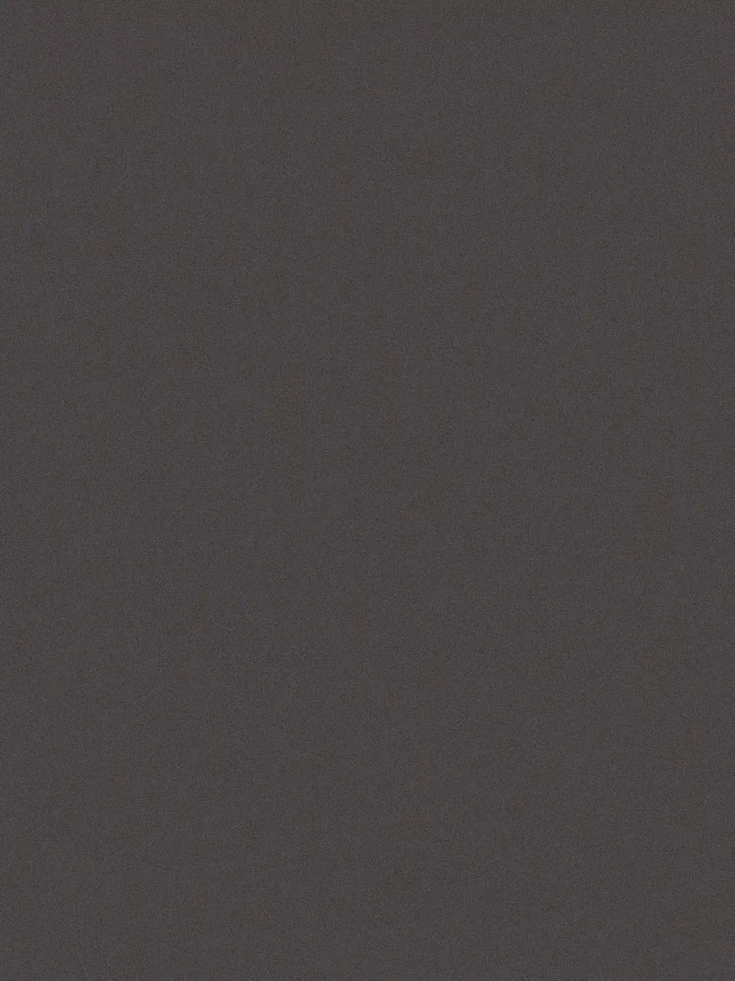         Plain wallpaper with subtle surface texture - black
    