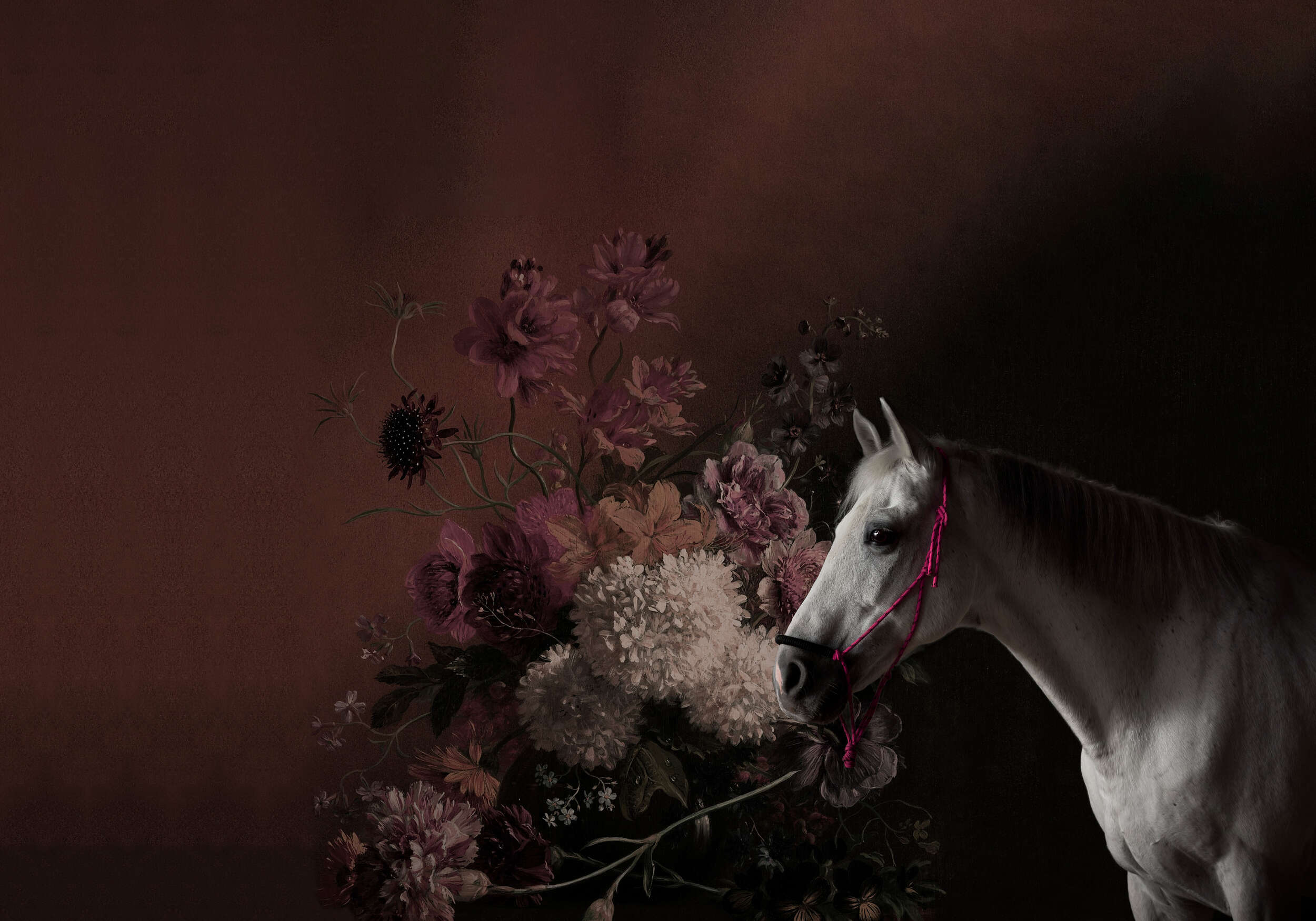 Blume, Blumen-Arrangement, Blumenstrauß, Pferd, Colt Horse