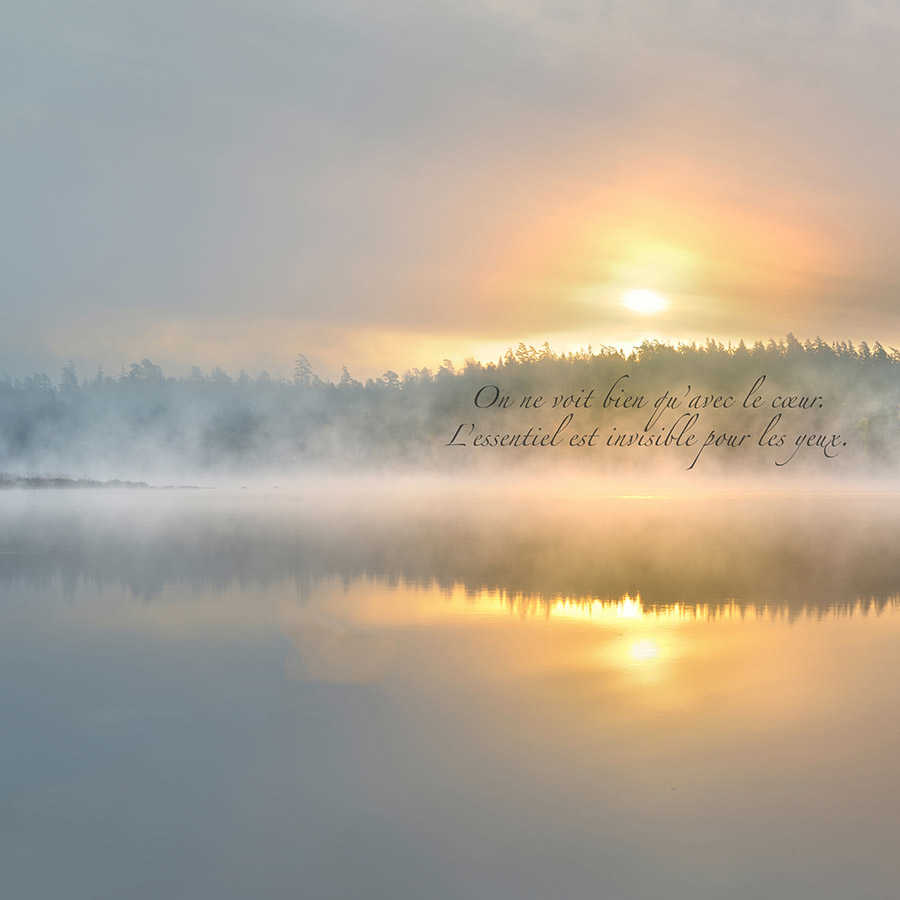 Landschaft, Sonnenaufgang, Waldsilhouette, Nebel, Wasserreflexion