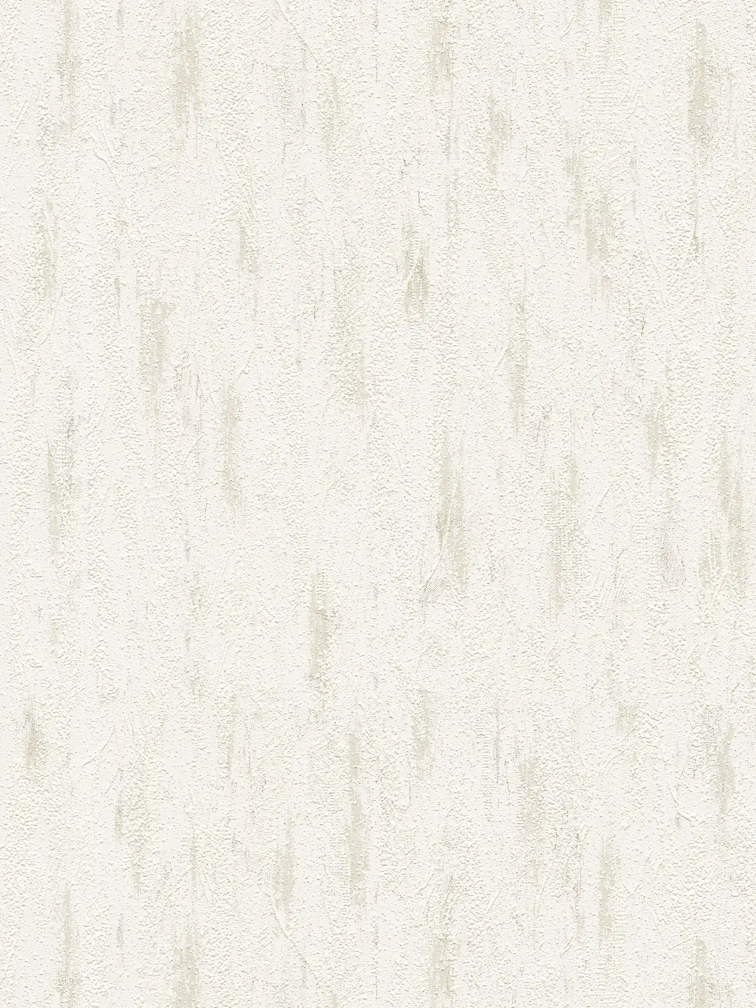         Plaster optics wallpaper with structure decor & colour mottling - grey, cream
    