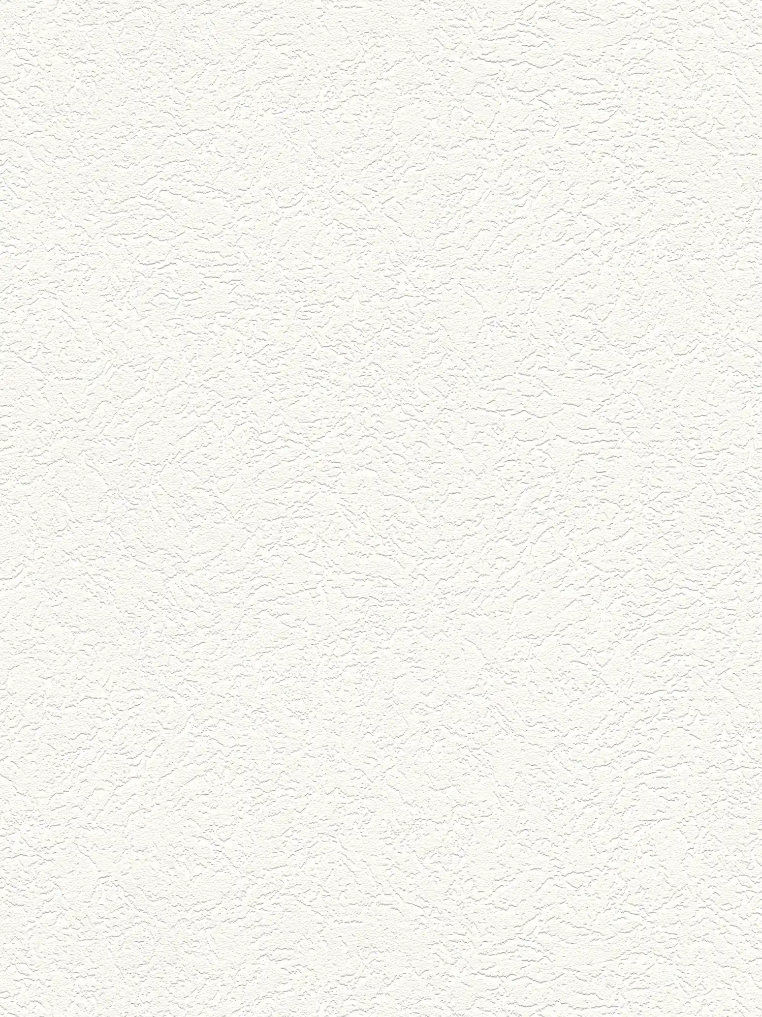         Rough plaster look non-woven wallpaper with textured pattern - white
    