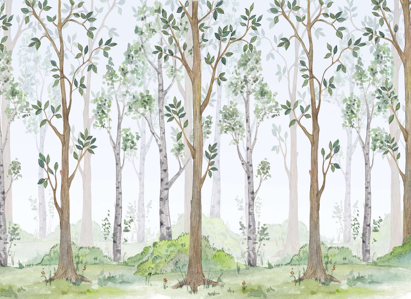 Wald, Baum, Landschaft, Waldszene, Bäume