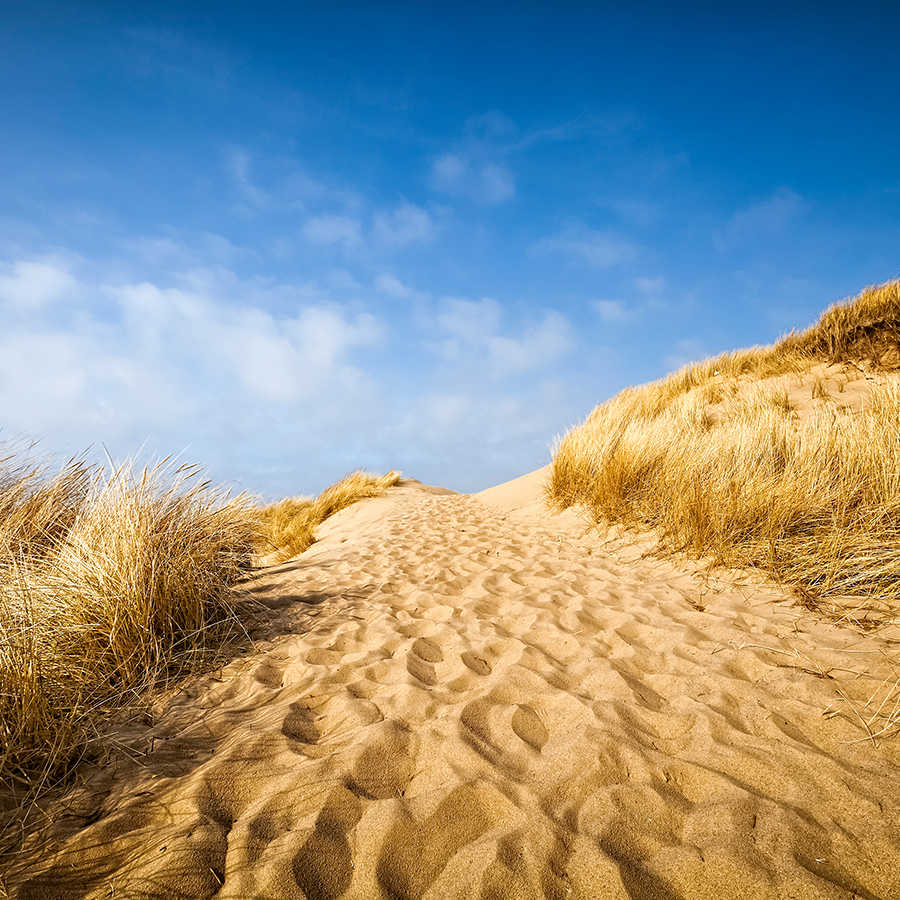 Sand, Dunes, Beach, Footprints, Grasses