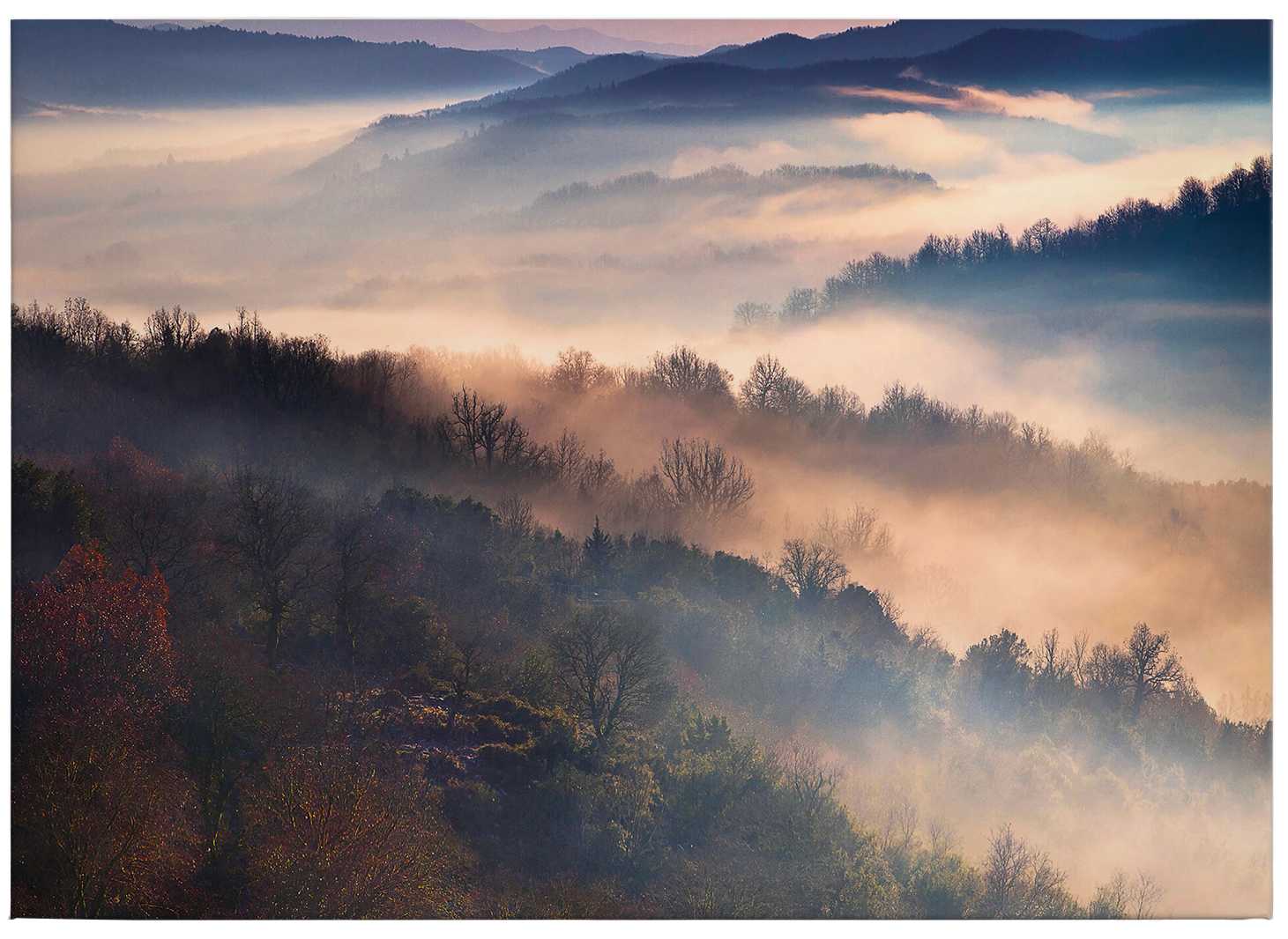 Artemiadi Leinwandbild Waldpanorama im Nebel – 0,70 m x 0,50 m