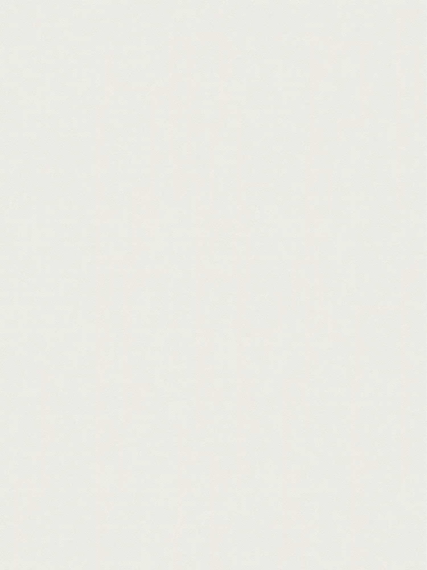         XXL non-woven wallpaper - "Das Uni" from wallpaper shop - 1.06m double width - single-coloured and subtly textured - ivory
    