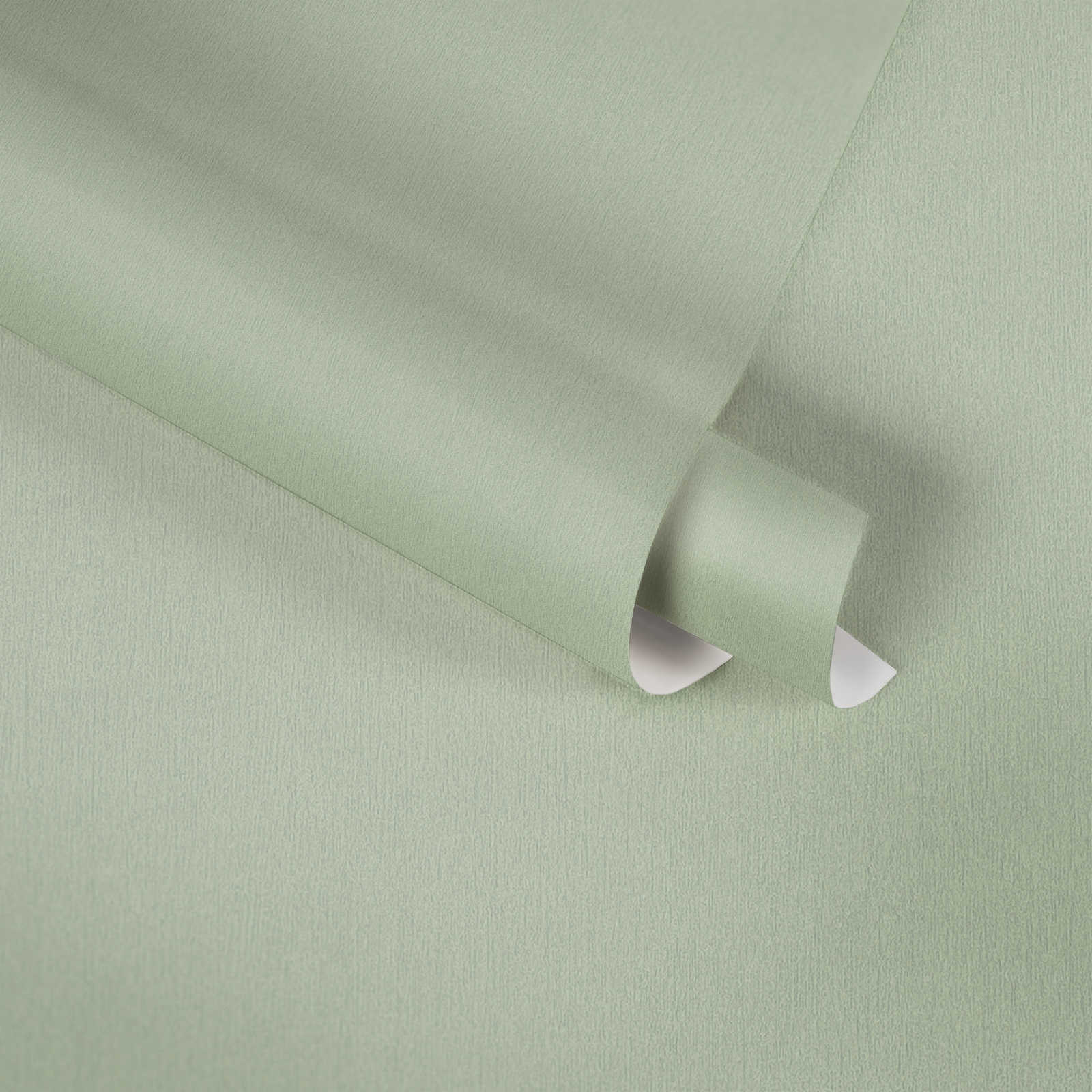             Salbeigrüne Kinderzimmer Tapete uni – Grün
        