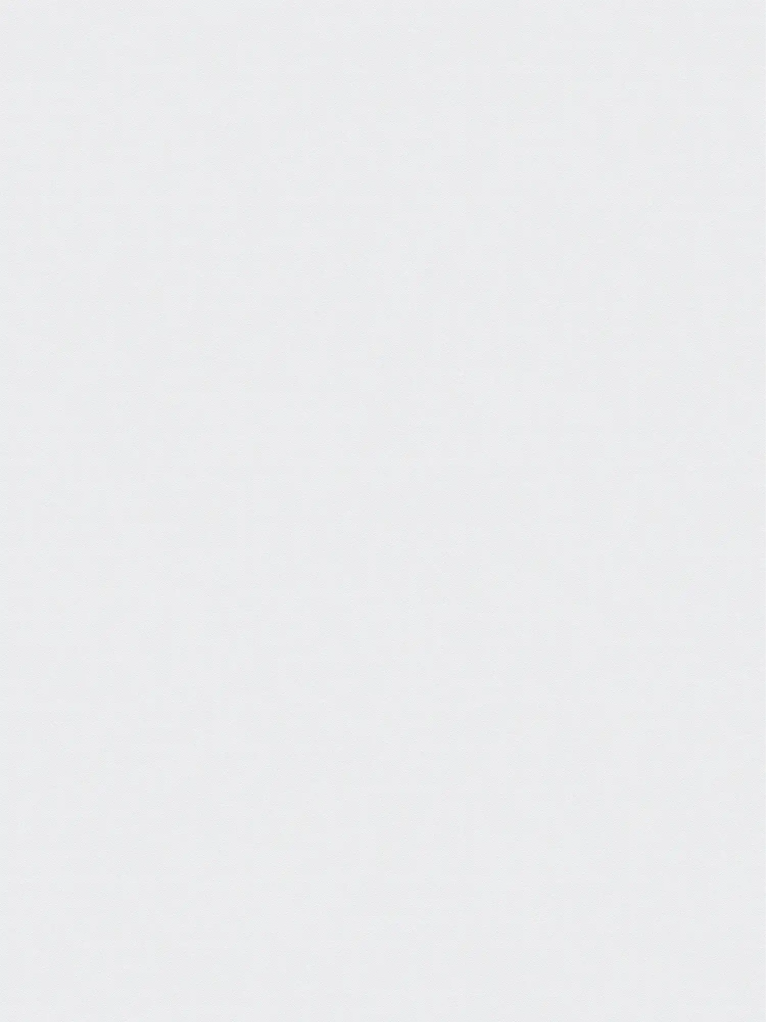         XXL non-woven wallpaper - "Das Uni" from wallpaper shop - 1.06m double width - single-coloured and subtly textured - glacier blue
    