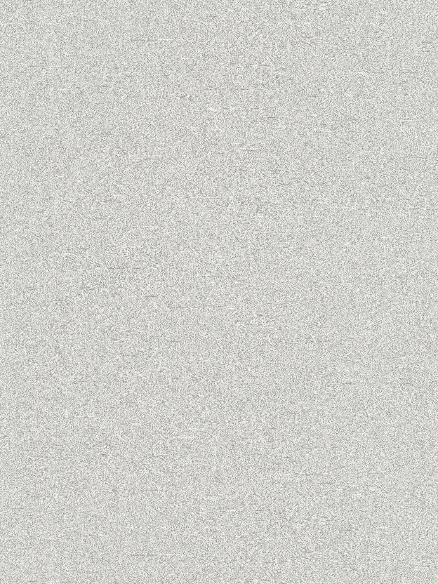         Non-woven wallpaper plain with fibre textured pattern - grey, silver
    