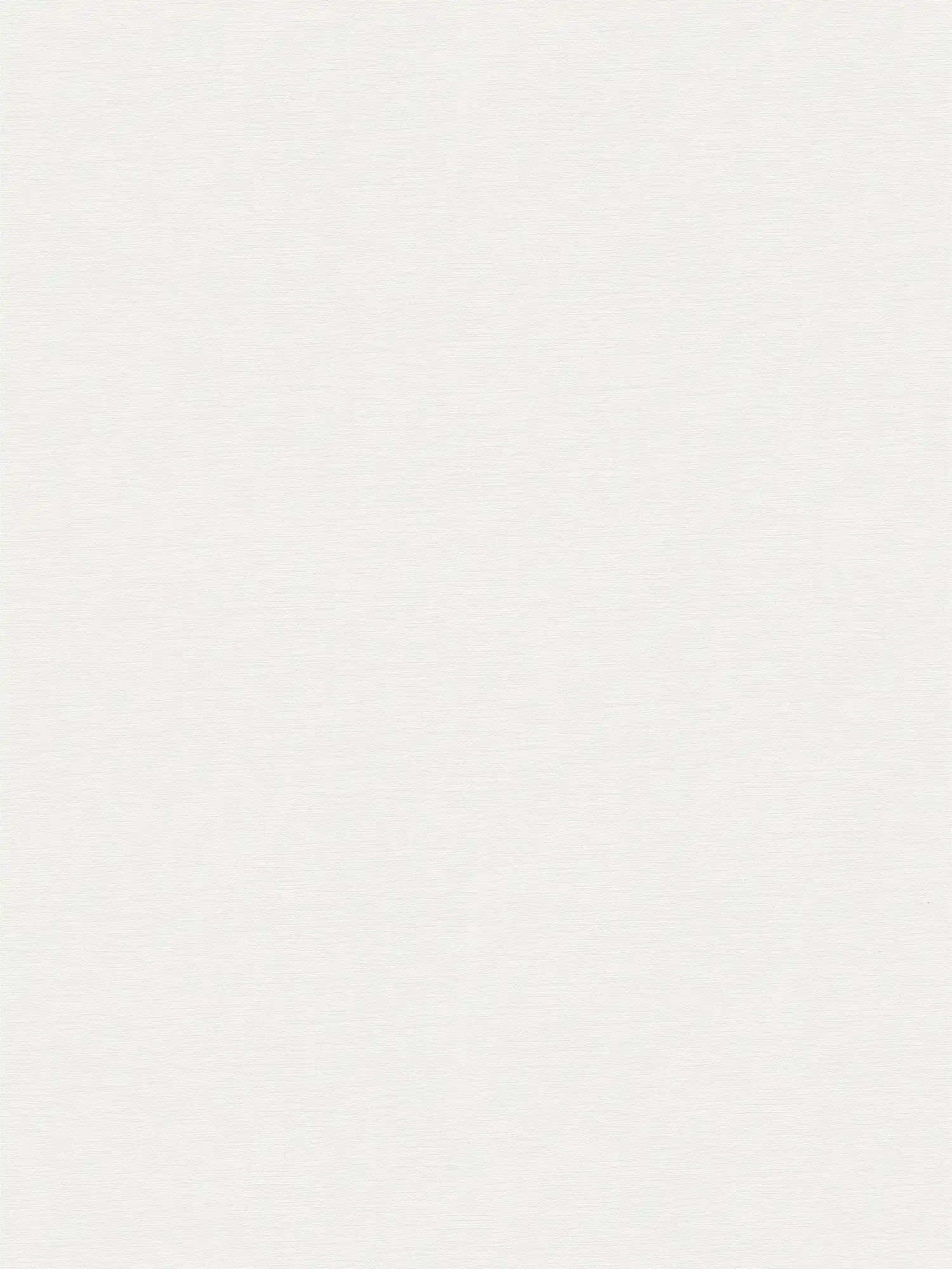         Plain wallpaper white matt with structure design in plaster look
    