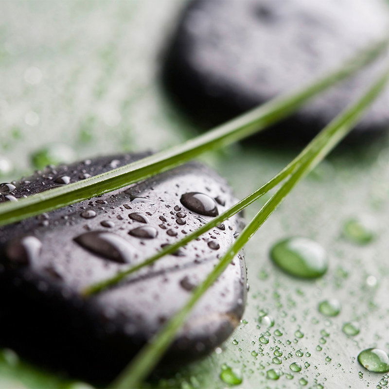         Blades of Grass with Wellness Stones Wallpaper - Premium Smooth Non-woven
    