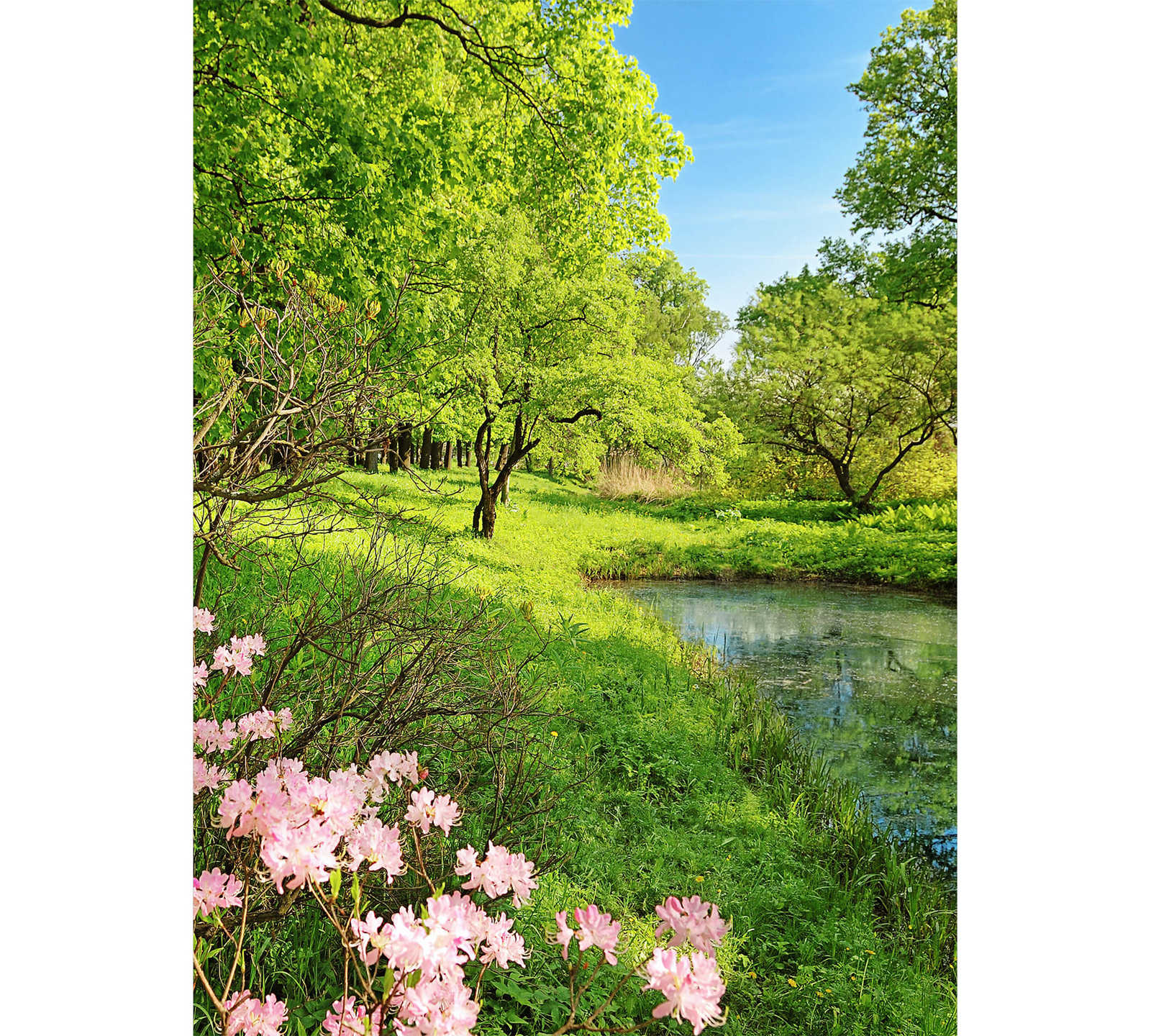 Lente fotobehang met natuur landschap, staand formaat