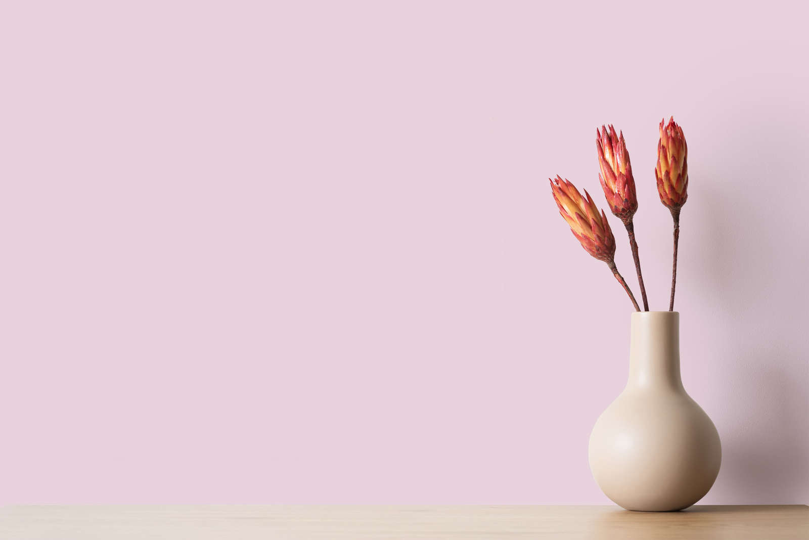 vase,  pink wall,  dried flowers,  beige vase,  minimalist decor
