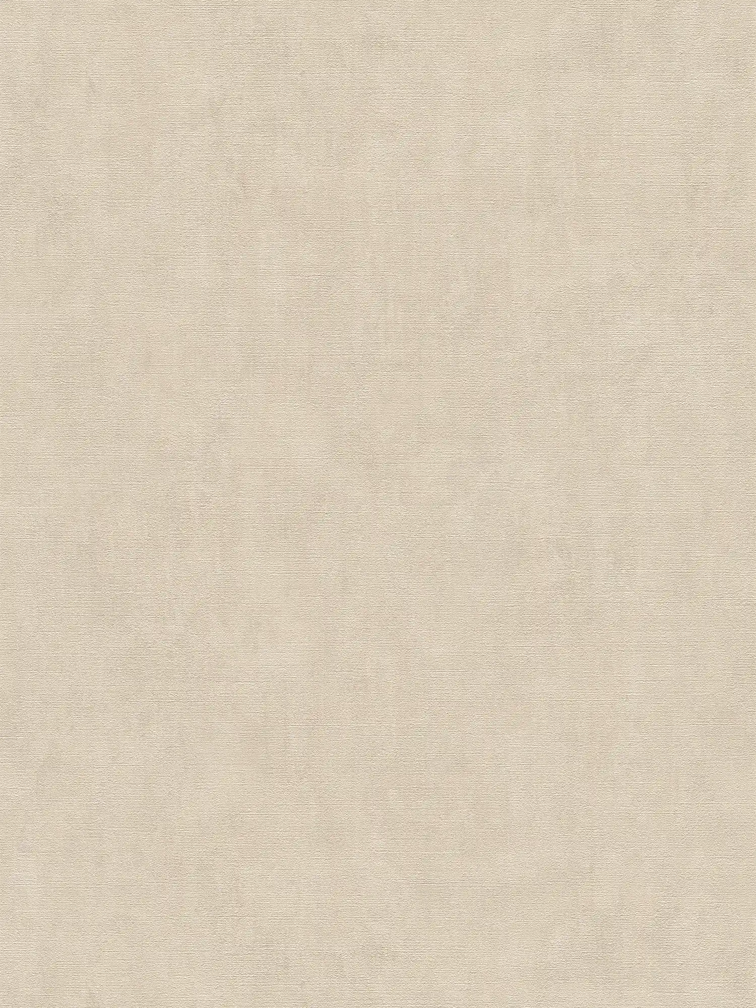         Papier peint Beige avec aspect crépi chiné style colonial
    