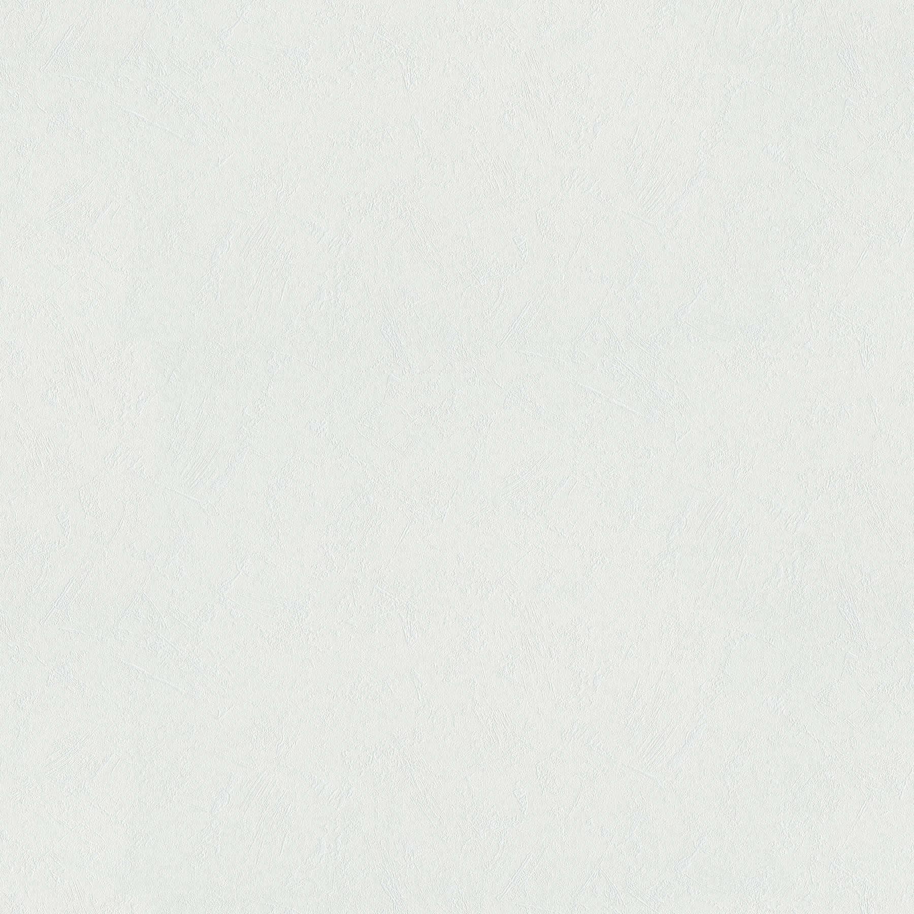         Vliesbehang overschilderbaar met muurpleisterstructuur
    