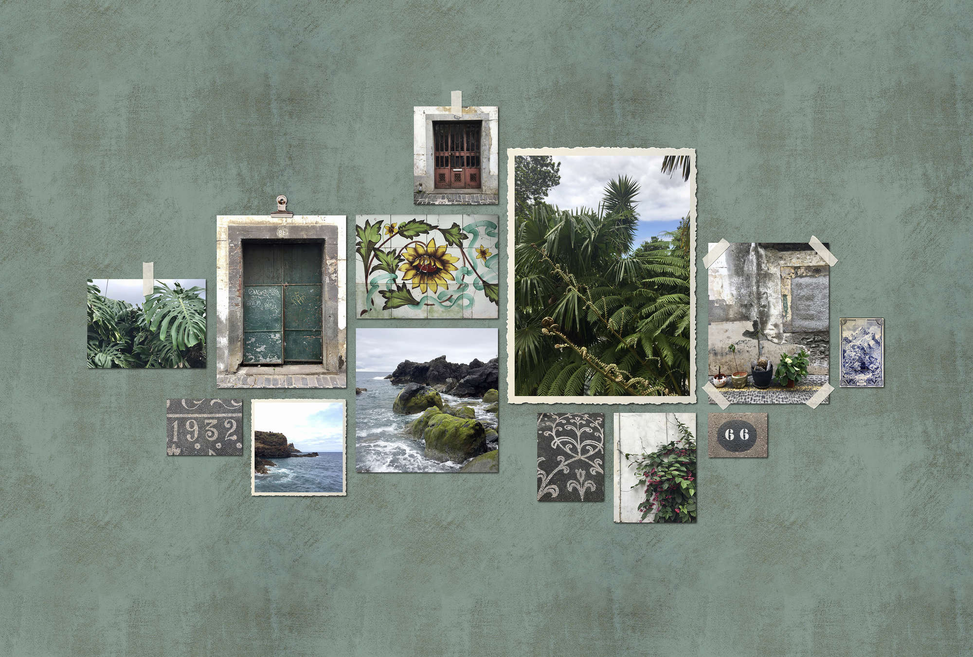 Kunst, Collage, Gemälde, Pflanze, Bewuchs