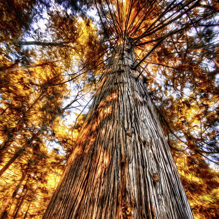         Architects Paper Fototapete AP Digital 2
    