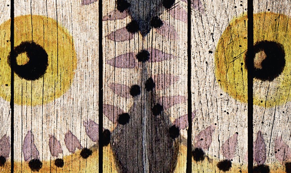 Holz, Drinnen, Innenarchitektur, Inneneinrichtung, Gesicht