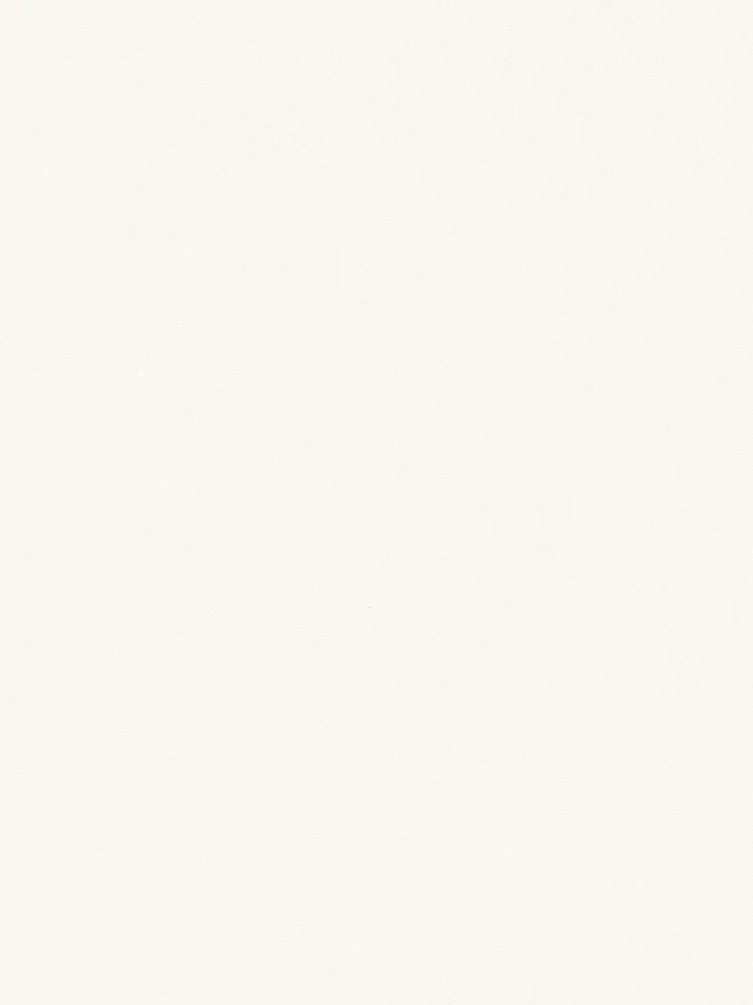         Silk matte non-woven wallpaper white uni with flat structure
    