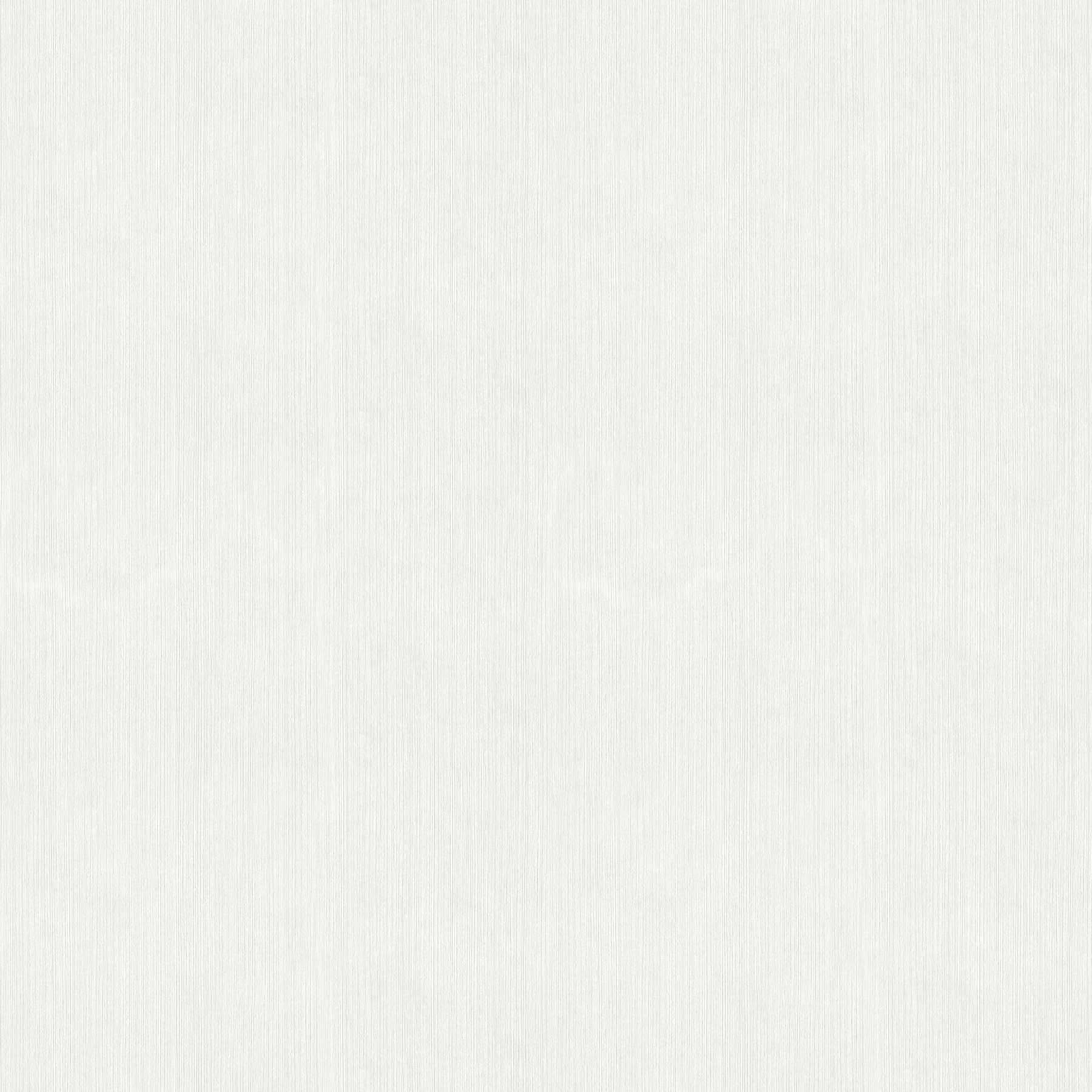         Vliesbehang met textuureffect, effen & mat wit
    