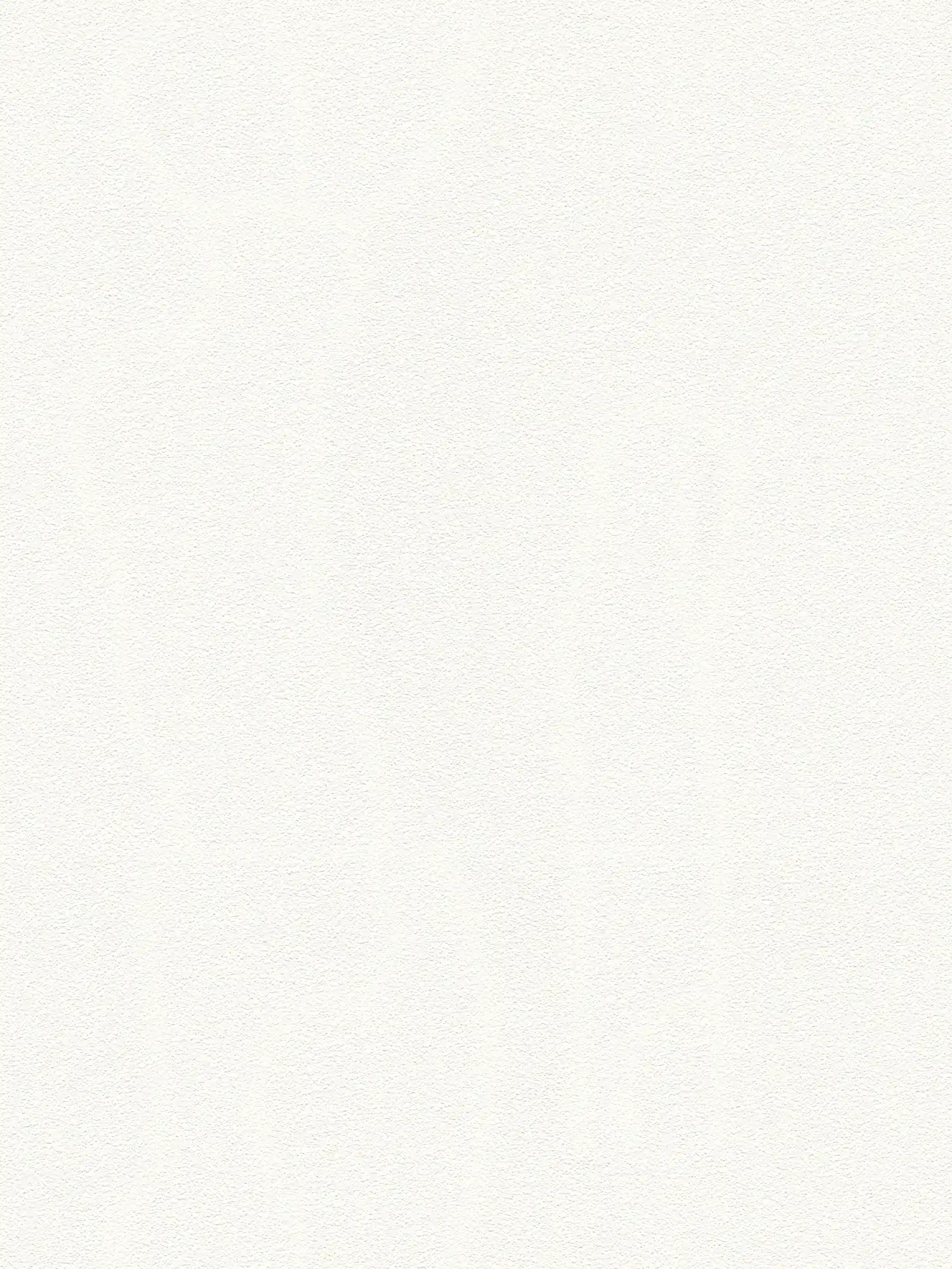         Unifarbene Tapete Weiß mit flächiger Schaumstruktur
    