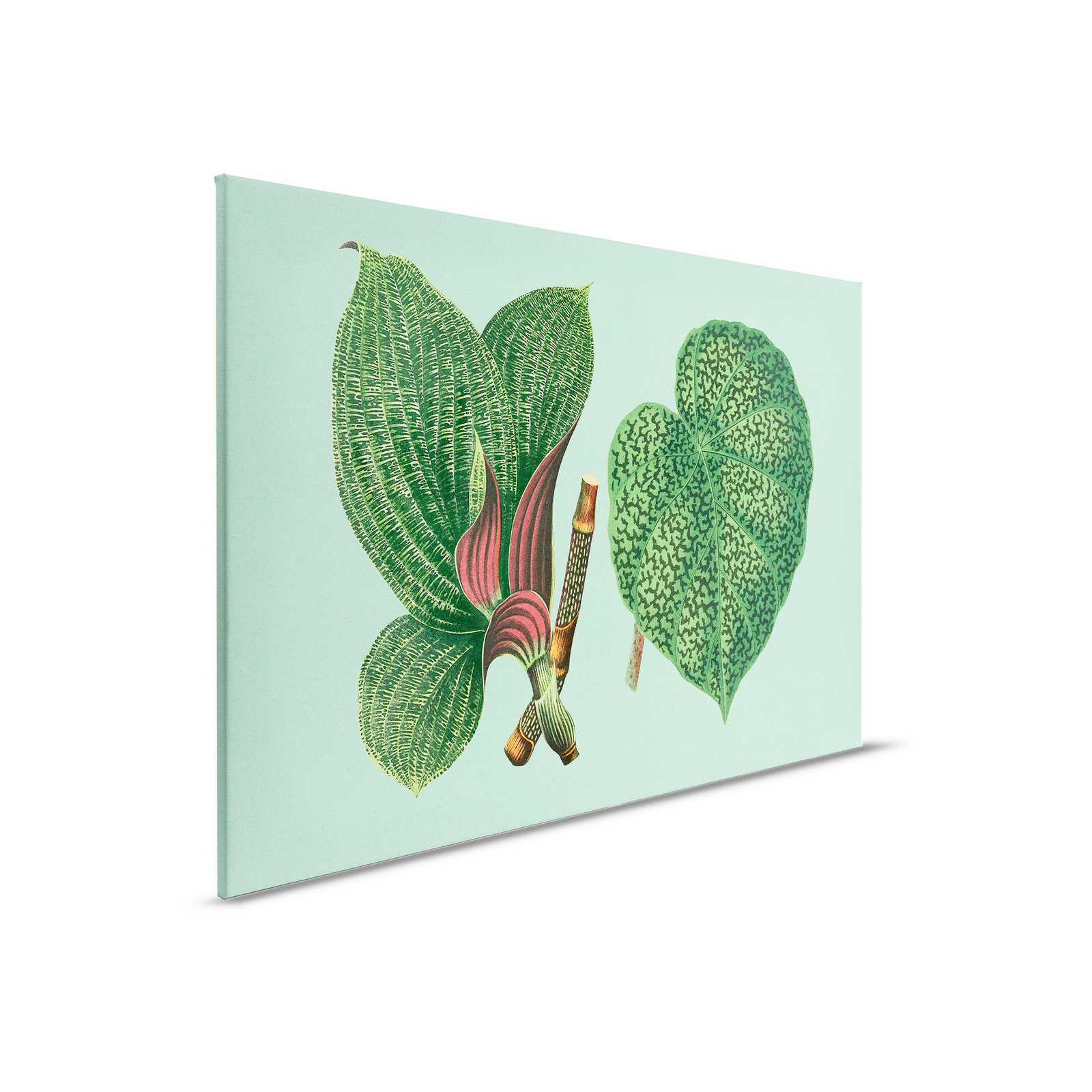         Leaf Garden 2 - Bladeren Canvas schilderij Groen met tropische planten - 0.90 m x 0.60 m
    
