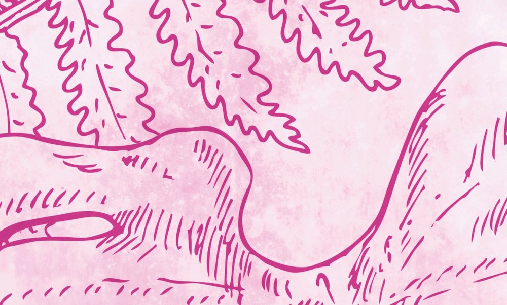             Fototapete Blumen & Blätter Muster – Rosa, Creme
        