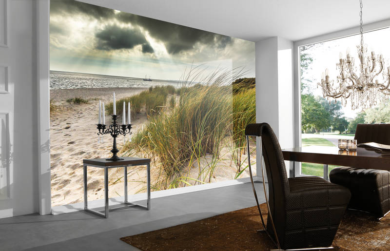 strand, sand, düne, küstenlandschaft, wandbild
