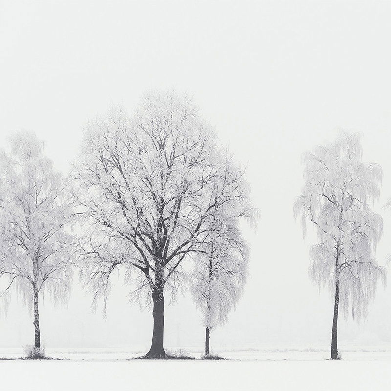         Architects Paper Fototapete AP Digital 4
    