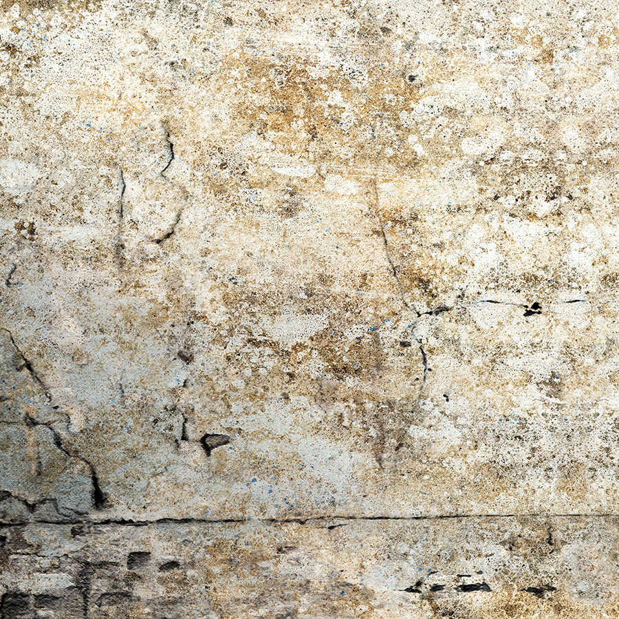         Fototapete Betonwand mit Rissen – Premium Glattvlies
    