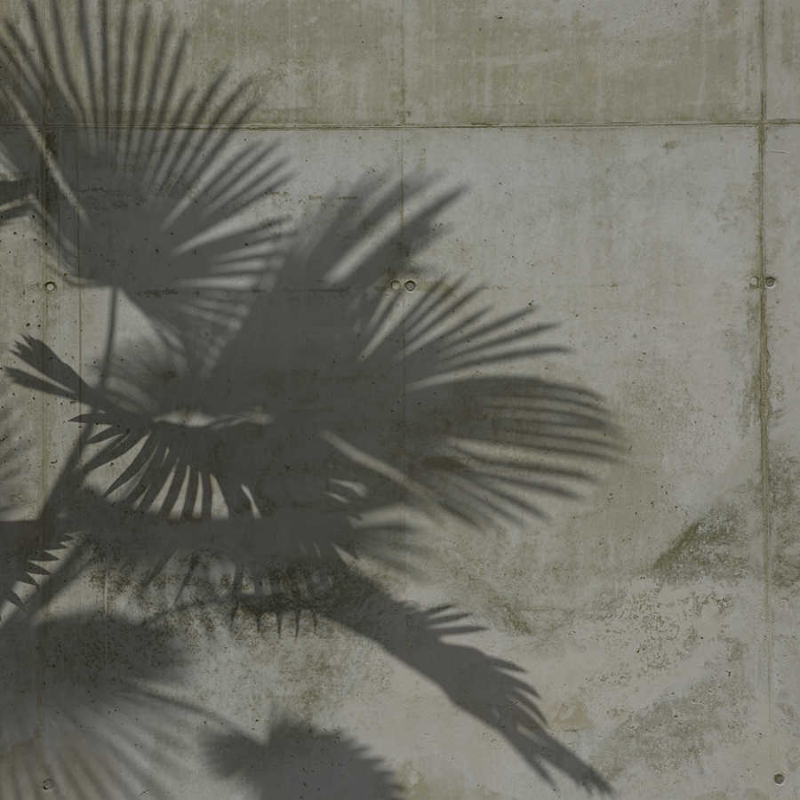 Schatten, Pflanze, Blatt, Wand, Beton