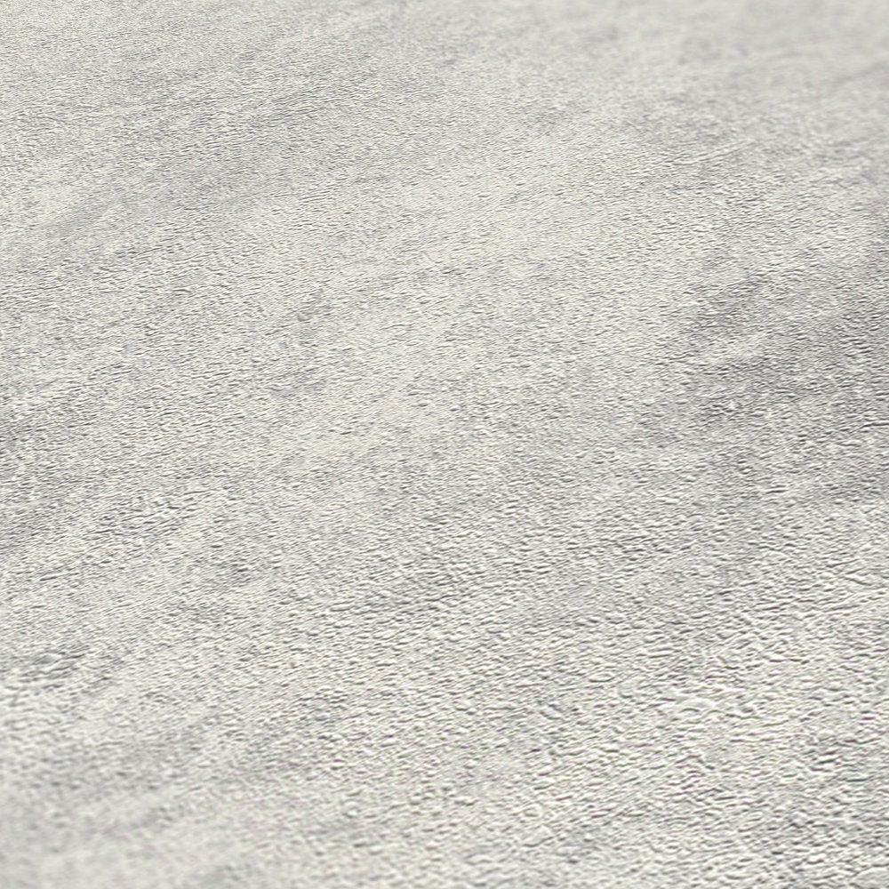             Vliestapeten mit Scheibenputz-Optik & Strukturmuster – Grau, Silber
        