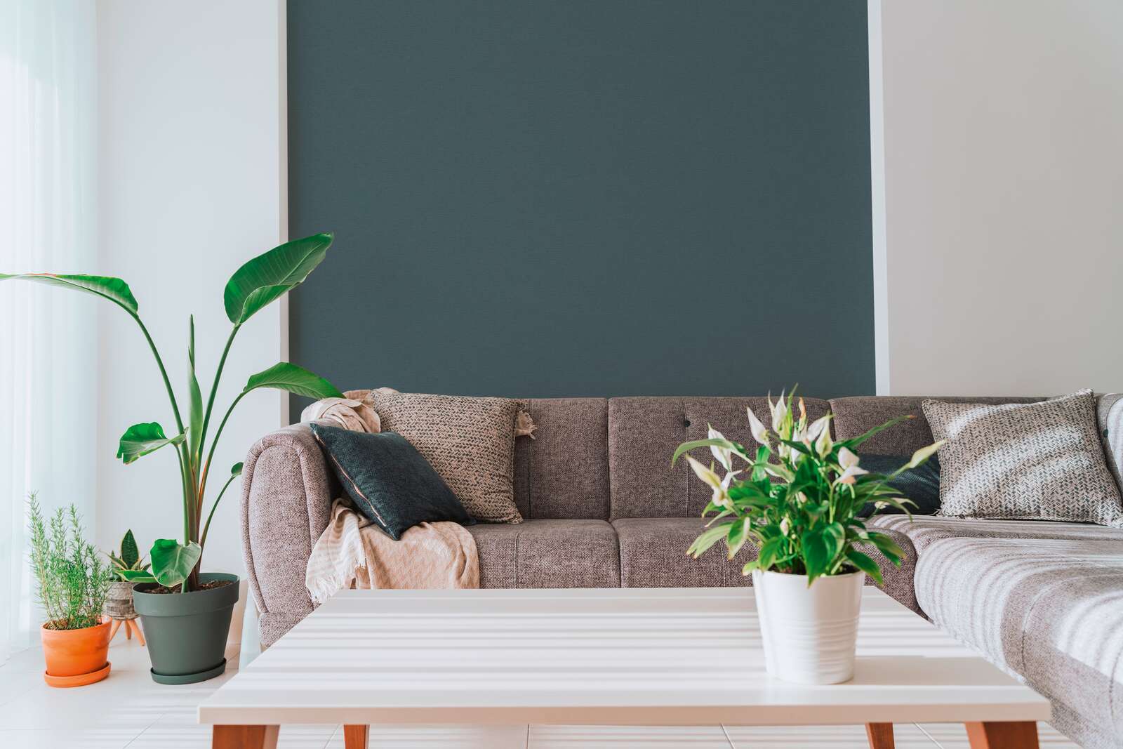 Sofa, Couch, Wohnzimmer, Pflanze, Couchtisch