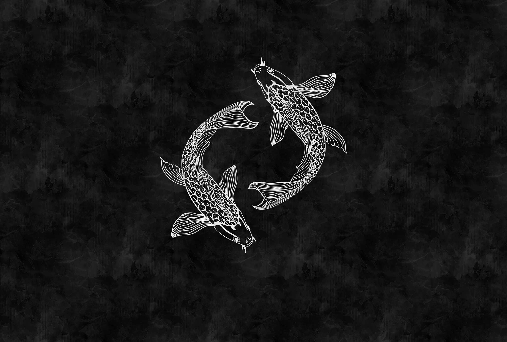             Koi Fototapete Schwarz-Weiß im Kreidetafel-Look
        