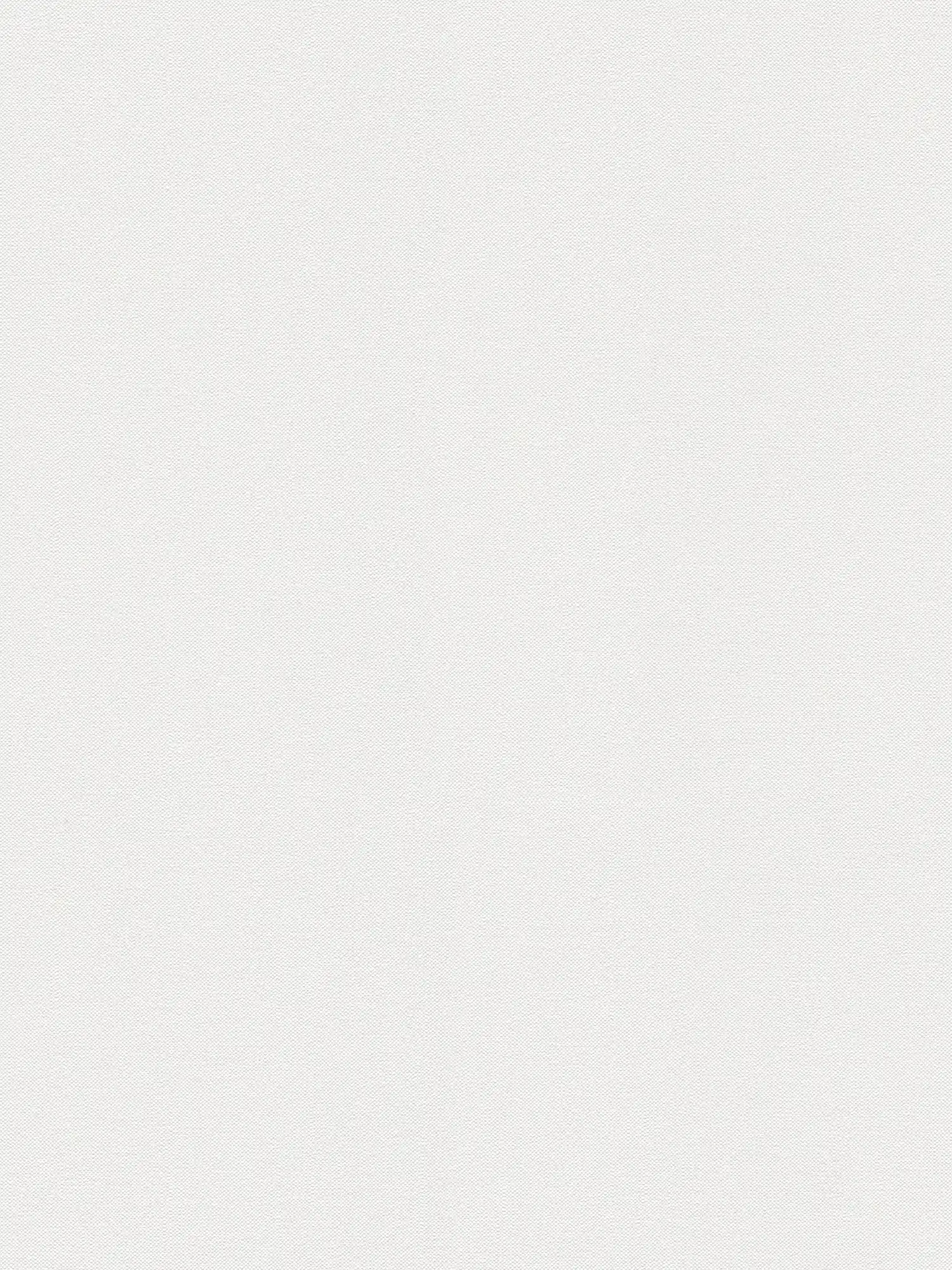         Single-coloured non-woven wallpaper with a matt finish and fine textile texture - white
    