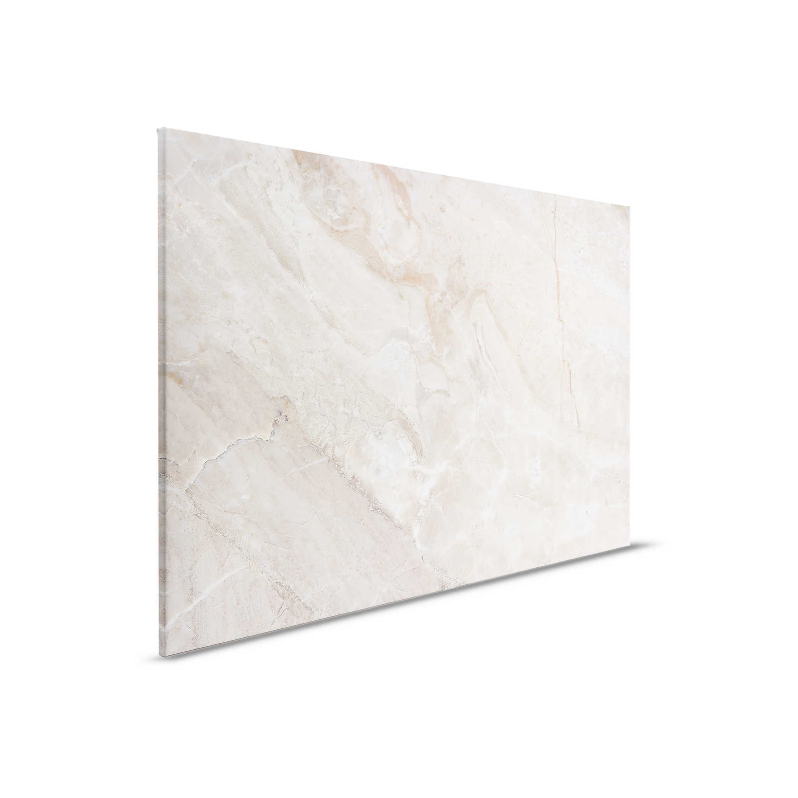         Leinwandbild mit Marmor-Optik Close-Up – 0,90 m x 0,60 m
    