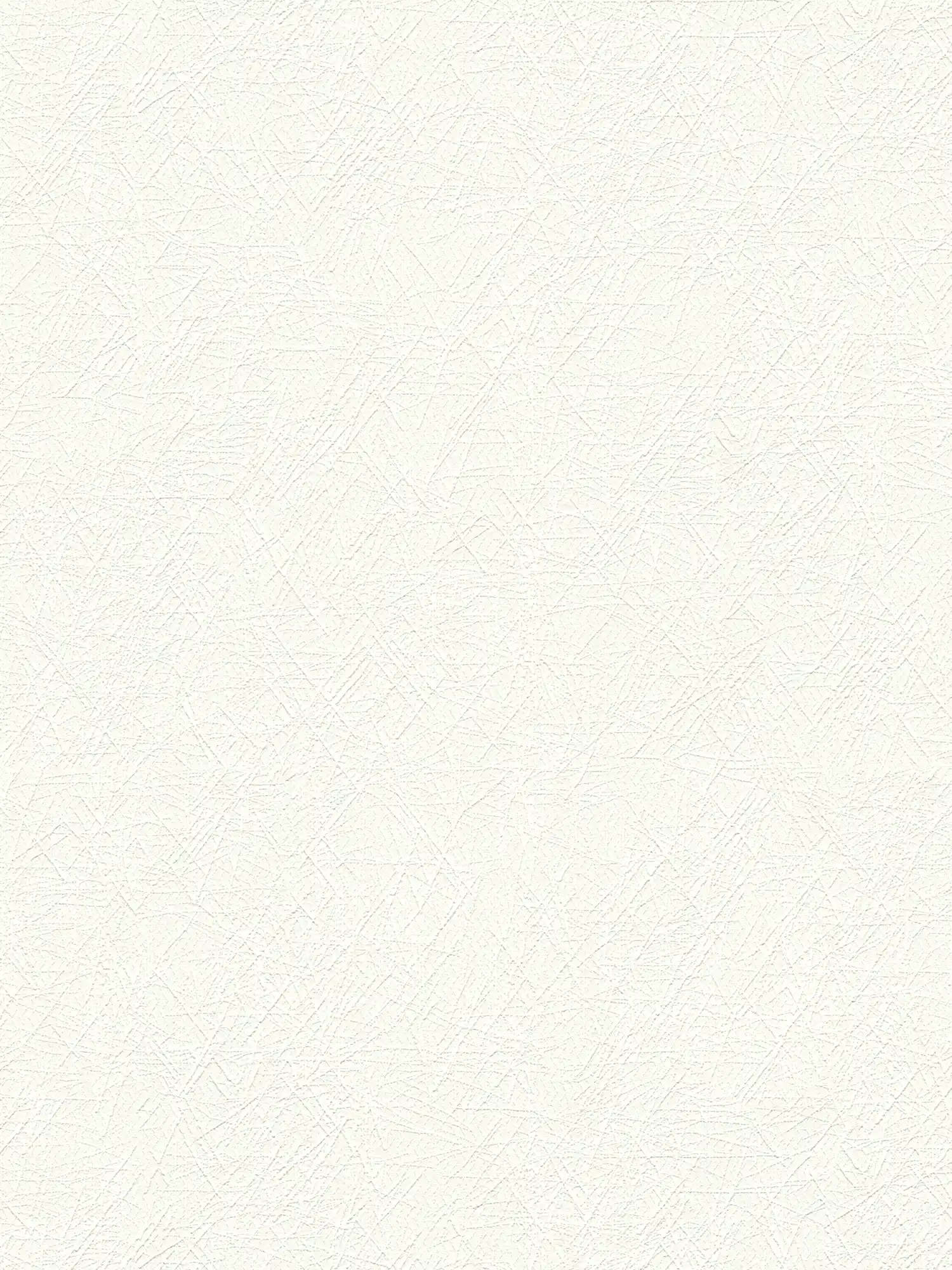         Weiße Vliestapete Retro 3D Strukturmuster Putz
    