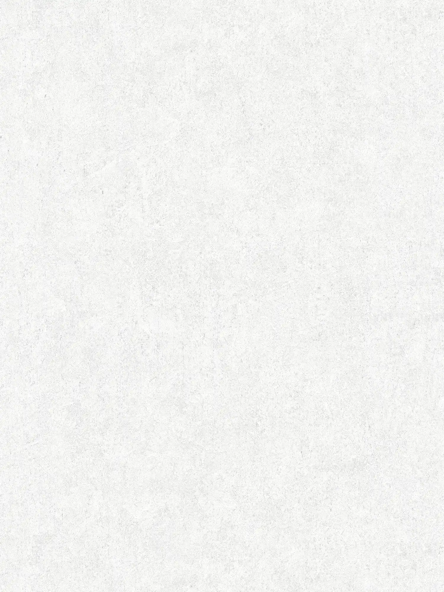 Tapete Grau Weiß mit natürlicher Steinoptik-Struktur