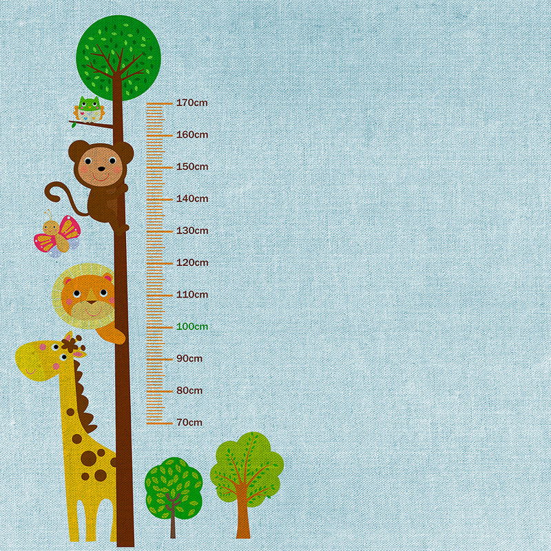         Kinderbehang met meetlat - Blauw, Kleurrijk
    