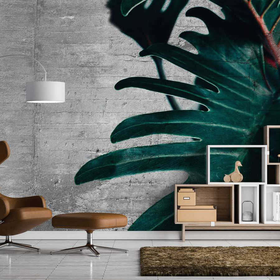         Fototapete mit Fensterblatt vor Betonoptik-Mauer – Grün, Grau
    