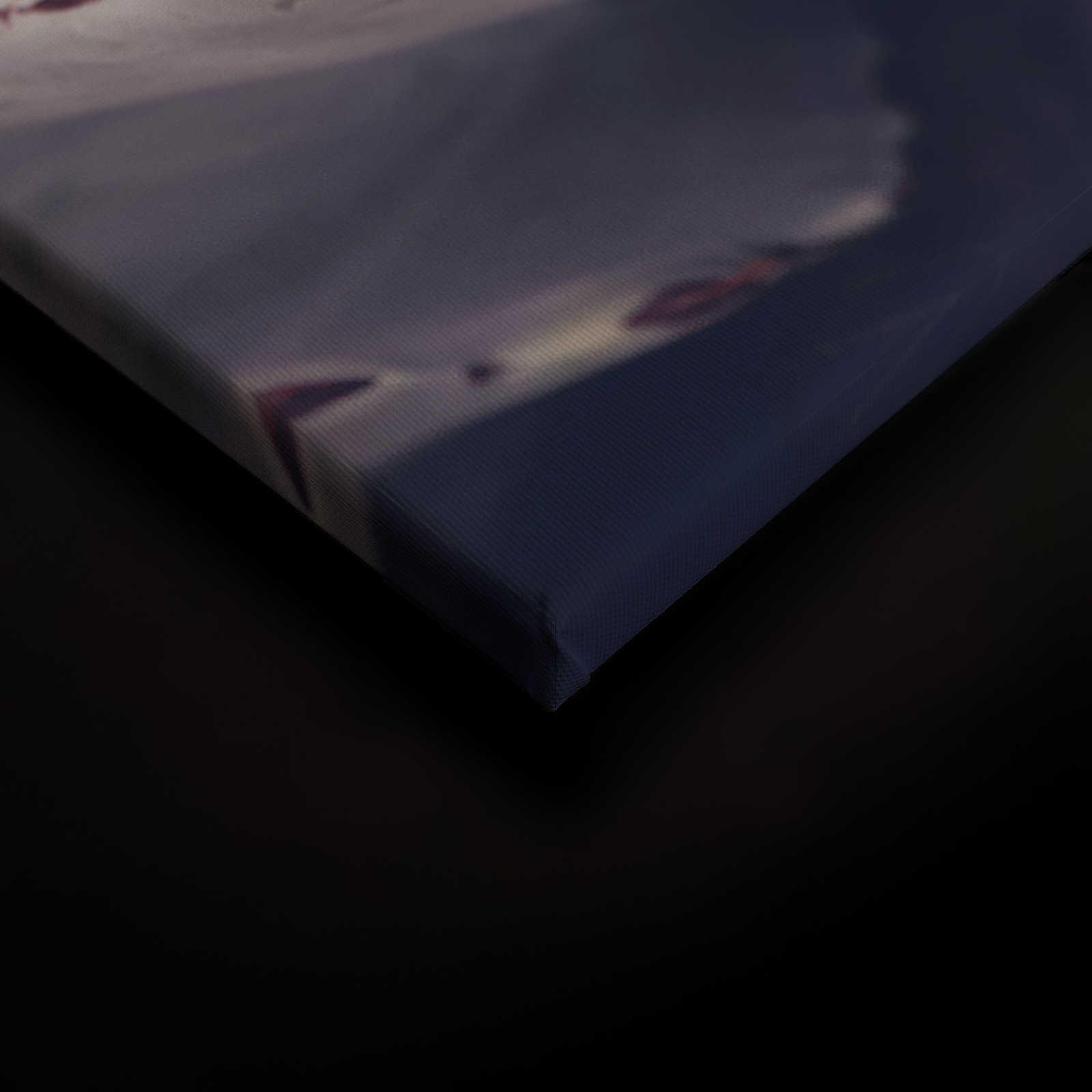             Leinwandbild mit Nahaufnahme von einem Kaktus – 0,90 m x 0,60 m
        