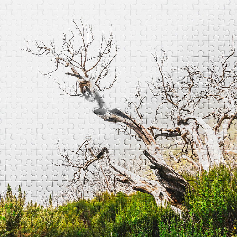         Puzzle Design & Natuurmotief Behang - Groen, Wit, Bruin
    