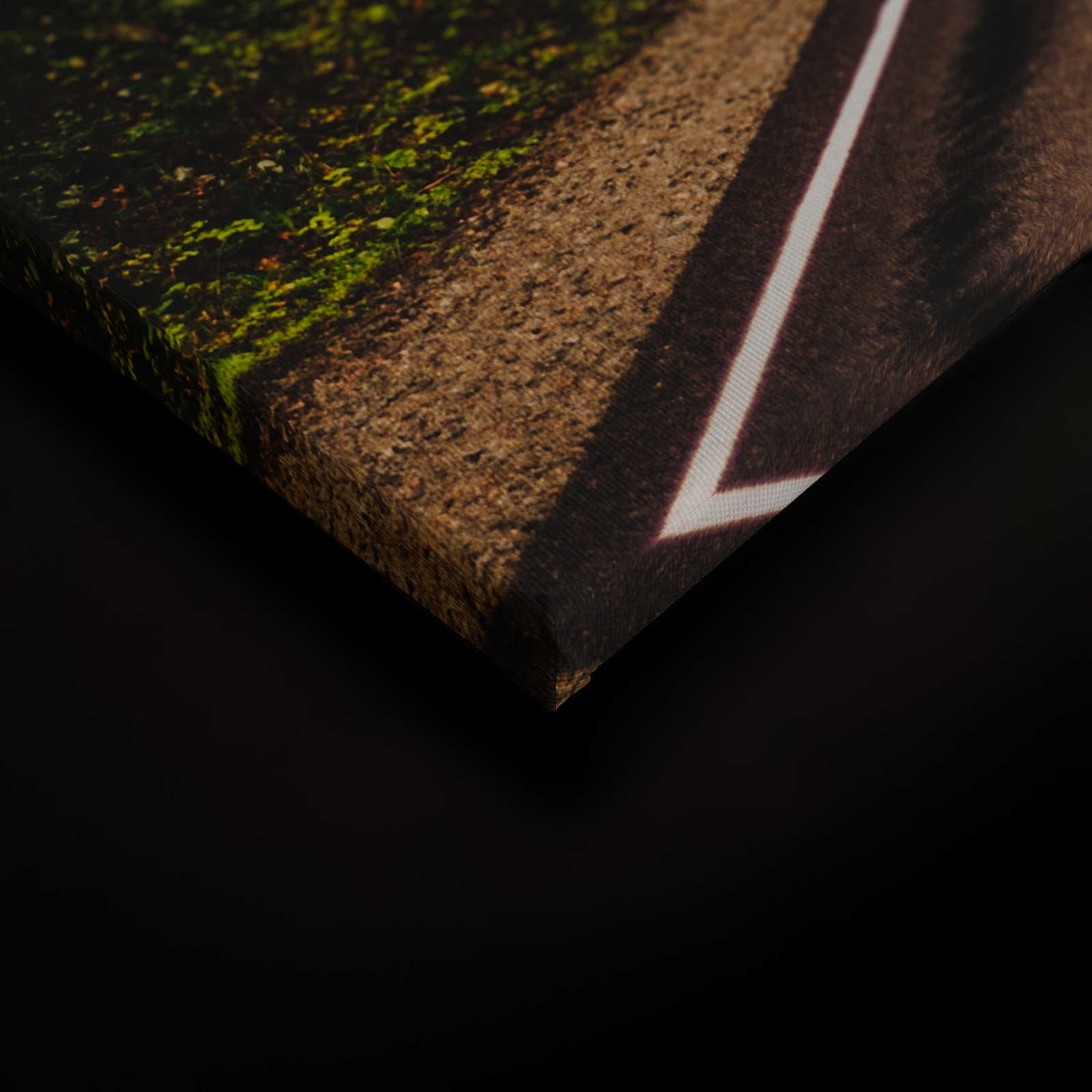             Leinwand mit American Highway im Wald – 0,90 m x 0,60 m
        