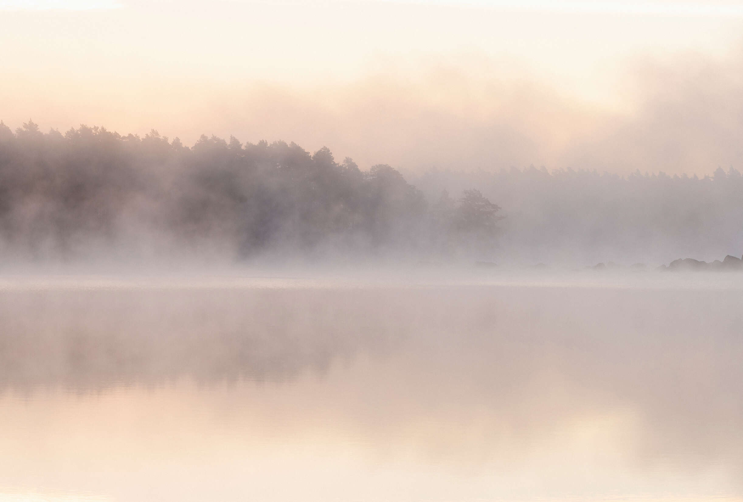 Natur, Im Freien, Wetter, Nebel, Dunst