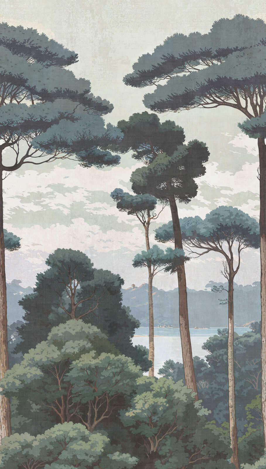 Wald, Bäume, Landschaft, Landschaftsmotiv, Natur