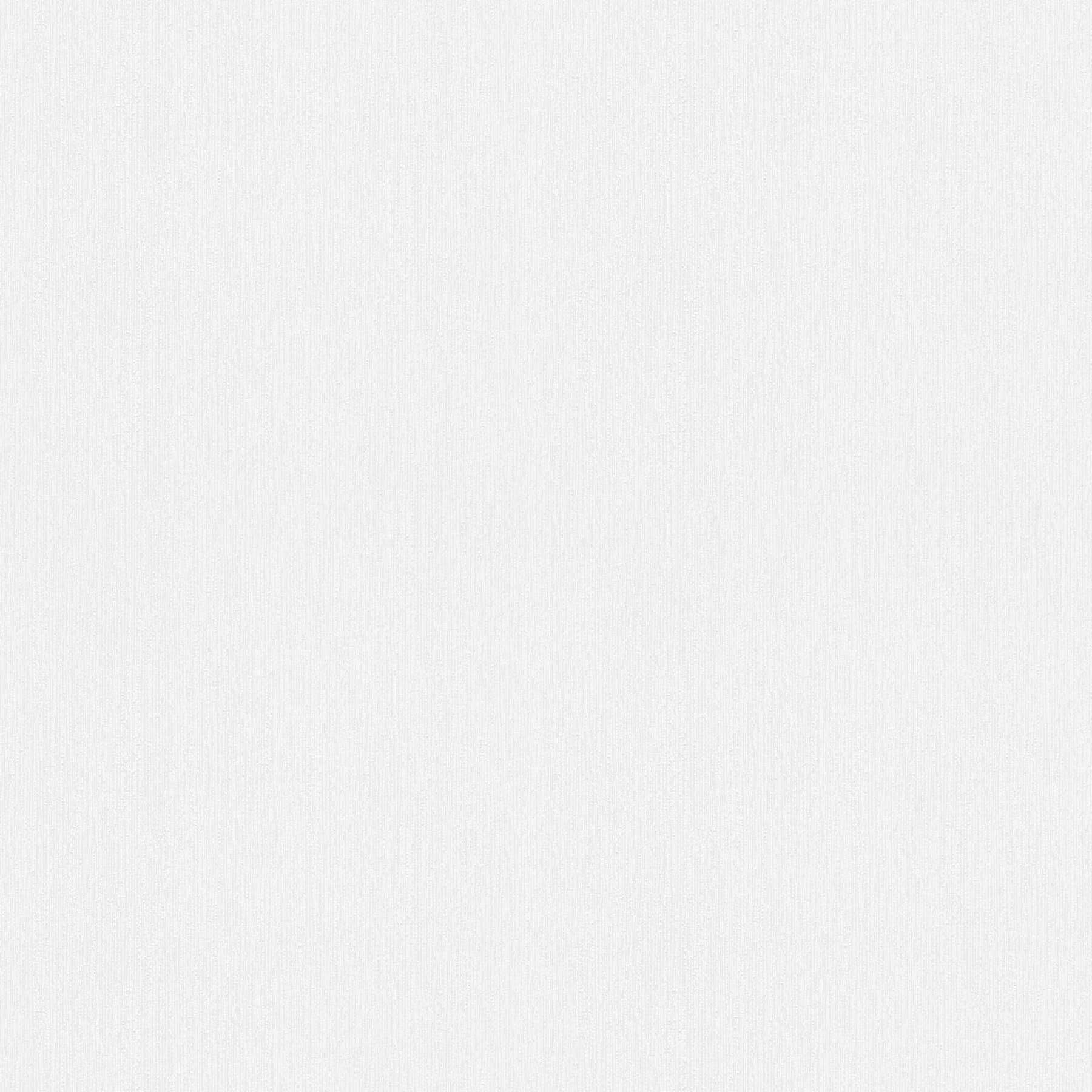         Vliesbehangpigment met discrete oppervlaktestructuur - wit
    