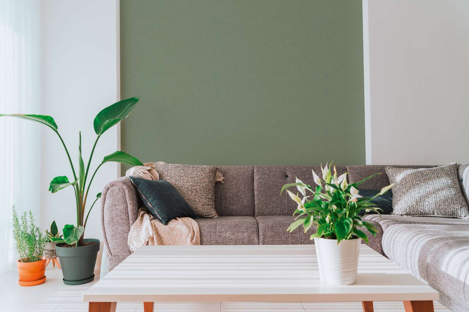 sofa, couch, wohnzimmer, pflanze, couchtisch